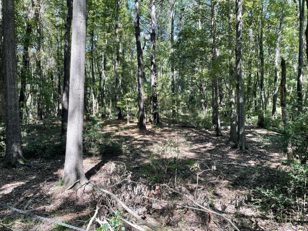 6444 St Anthony Drive Photo 20