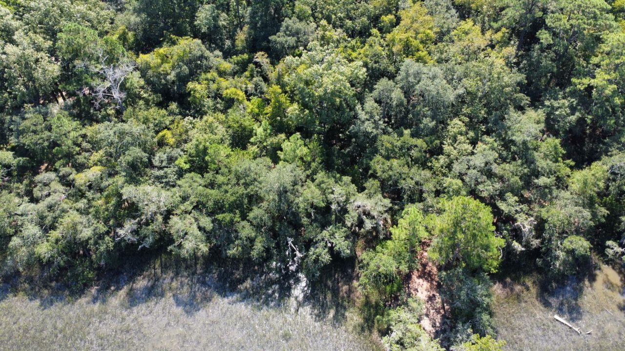 6444 St Anthony Drive Photo 22