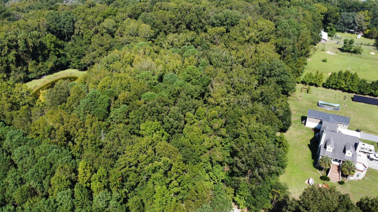 6444 St Anthony Drive Photo 33