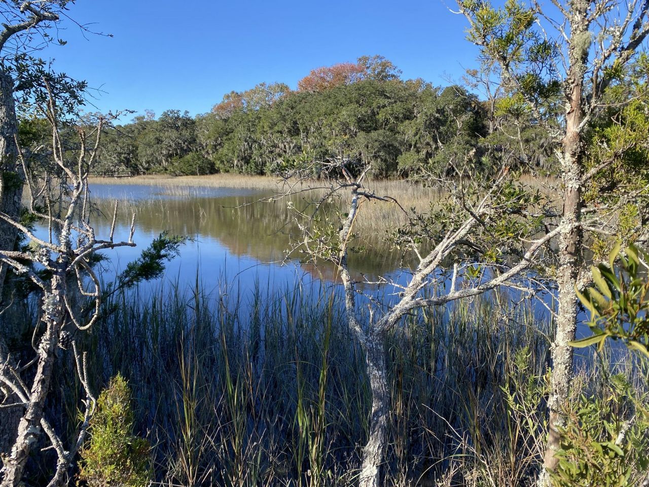 6444 St Anthony Drive Photo 38