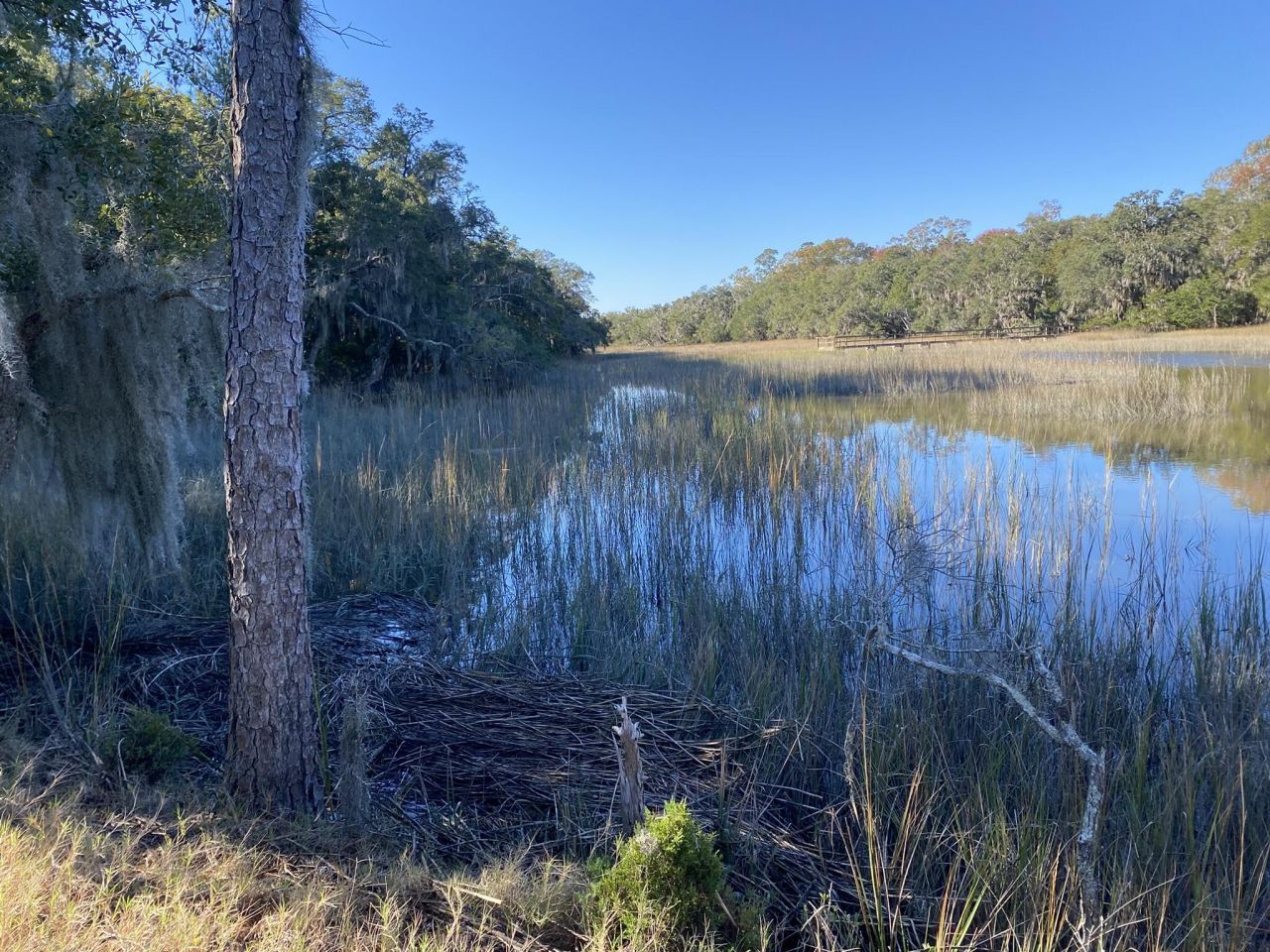 6444 St Anthony Drive Photo 4