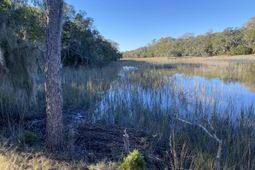 6444 St Anthony Drive photo 4