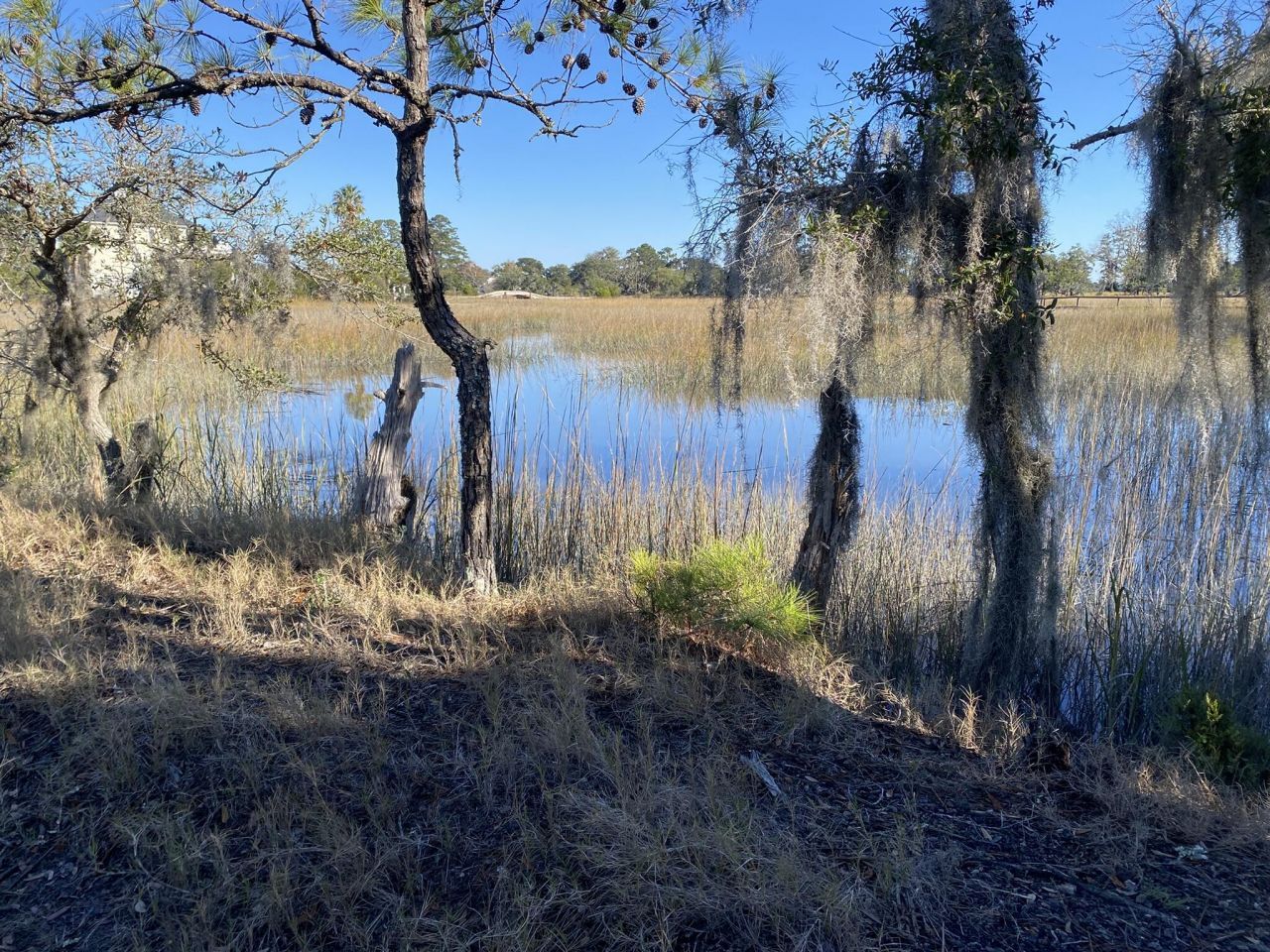 6444 St Anthony Drive Photo 5