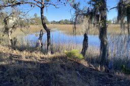 6444 St Anthony Drive photo 4