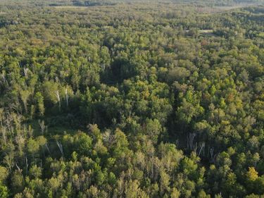 TBD Kestrel Ave., McGrath, MN 56350