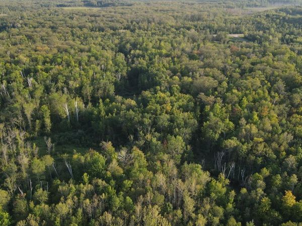 TBD Kestrel Ave., McGrath, MN 56350