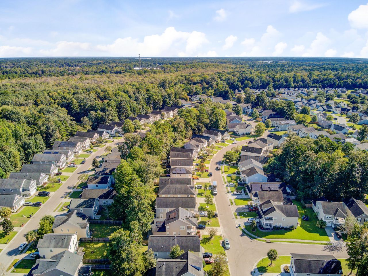 124 Diploma Drive Photo 41