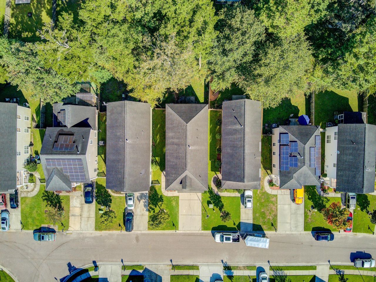 124 Diploma Drive Photo 49