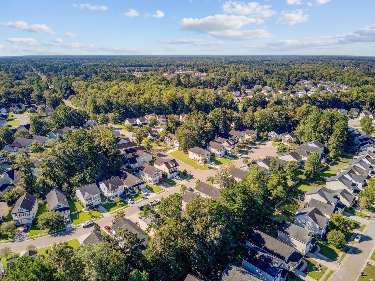 124 Diploma Drive Photo 51