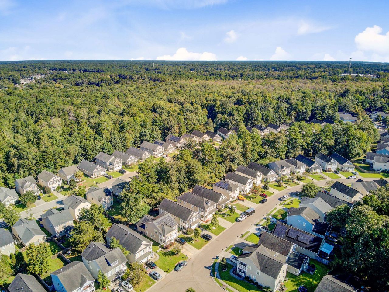 124 Diploma Drive Photo 54