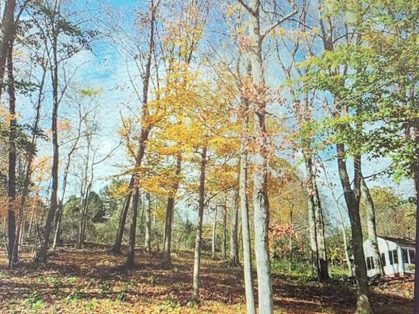 303 Wells Jones Road, Waverly, OH 45690