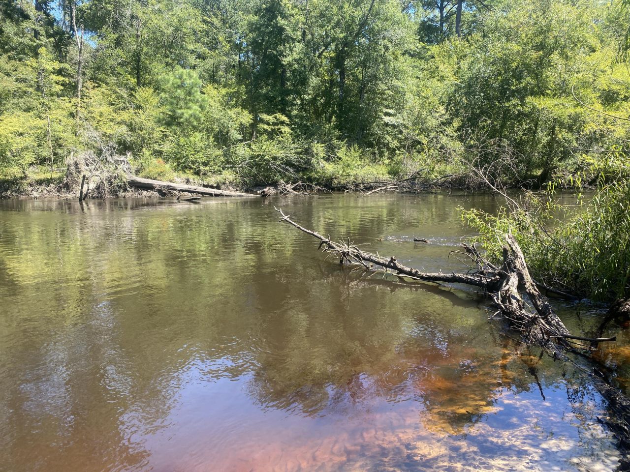 0 Hobbie Lane Photo 12