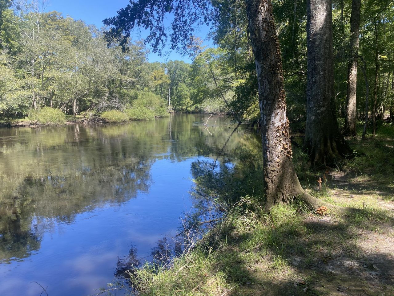 0 Hobbie Lane Photo 15