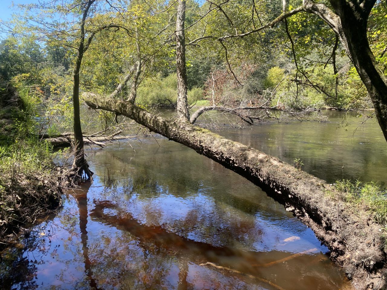 0 Hobbie Lane Photo 19