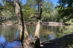 0 Hobbie Lane photo 4