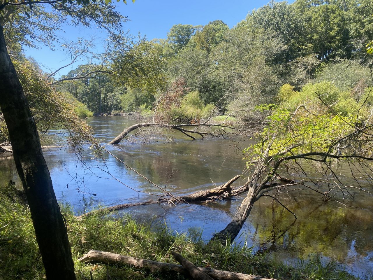 0 Hobbie Lane Photo 21