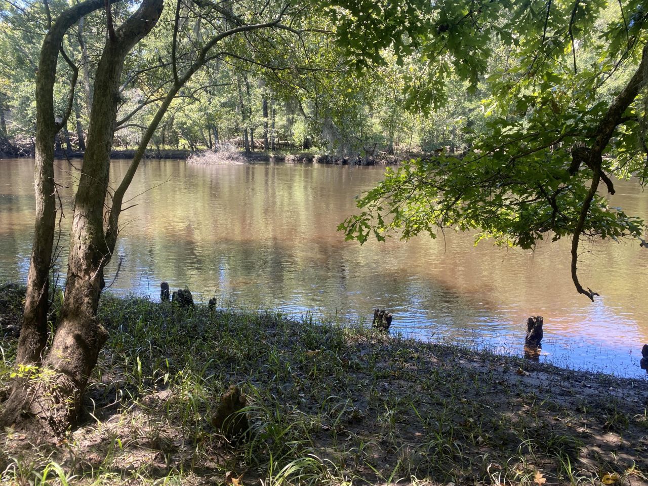 0 Hobbie Lane Photo 28