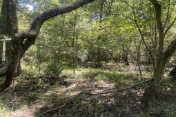 0 Hobbie Lane photo 4