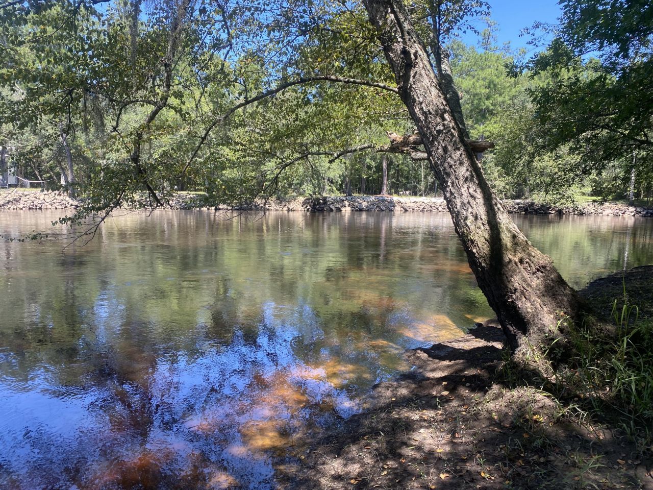 0 Hobbie Lane Photo 31