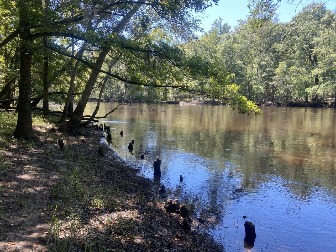 0 Hobbie Lane Photo 33