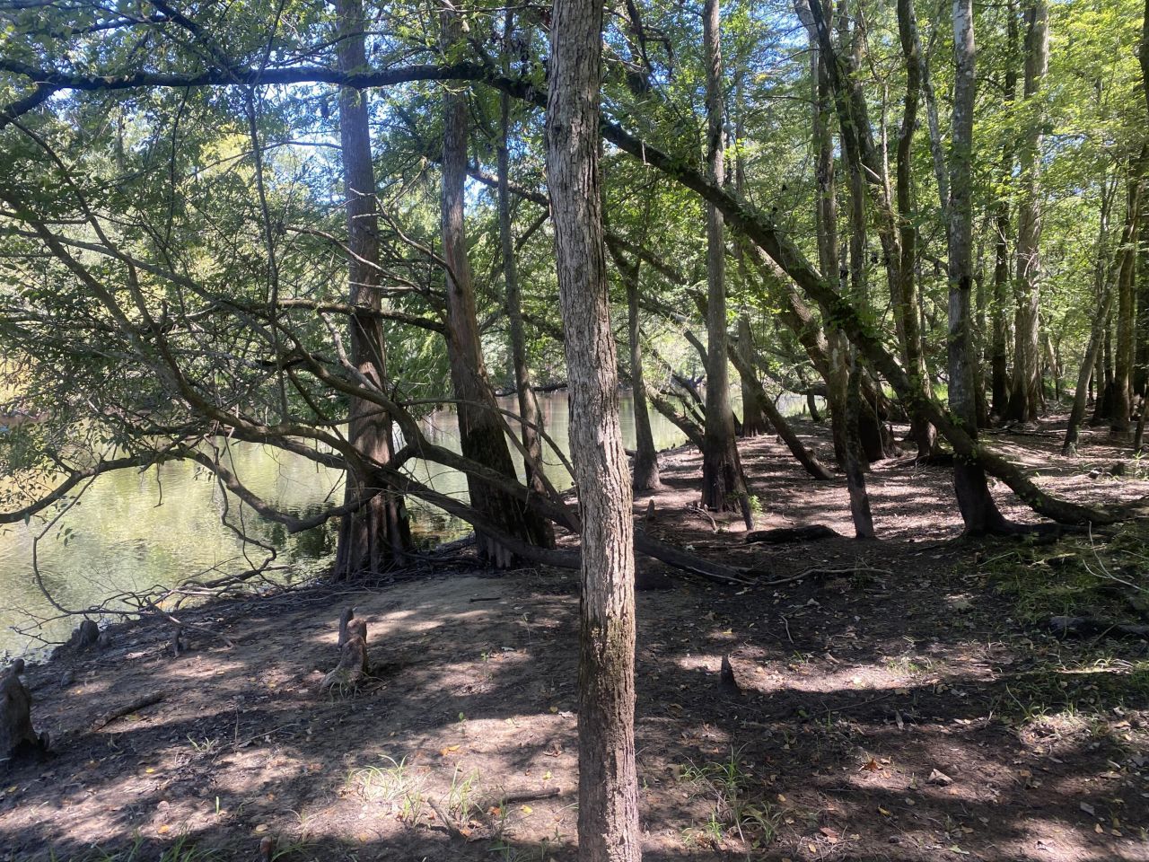 0 Hobbie Lane Photo 4