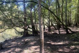 0 Hobbie Lane photo 4