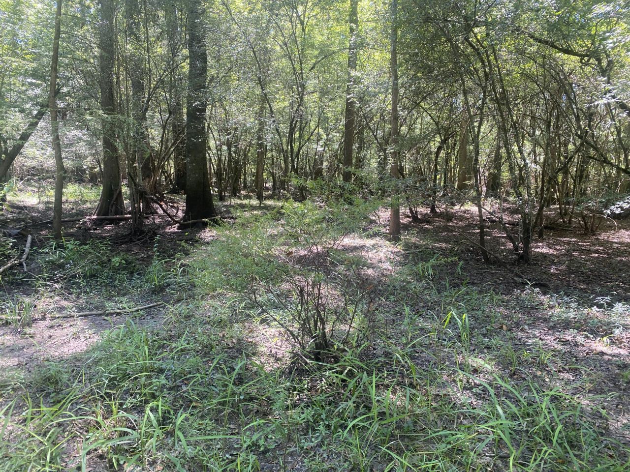 0 Hobbie Lane Photo 7