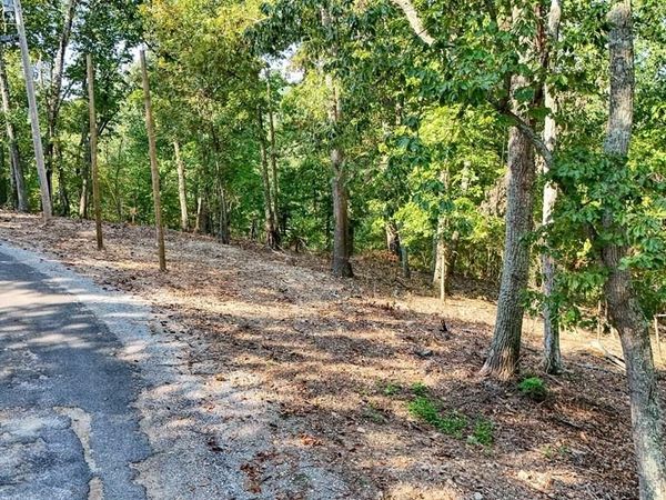 165 Grace Lane, Eva, TN 38333