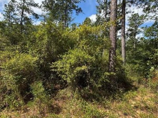 0 Jimmy Road, Chatom, AL 36518