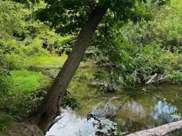 12808 Lincoln Lake Avenue NE, Gowen, MI 49326