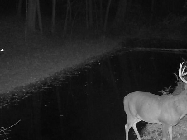 KOECKE LANE, Bagley, WI 53801