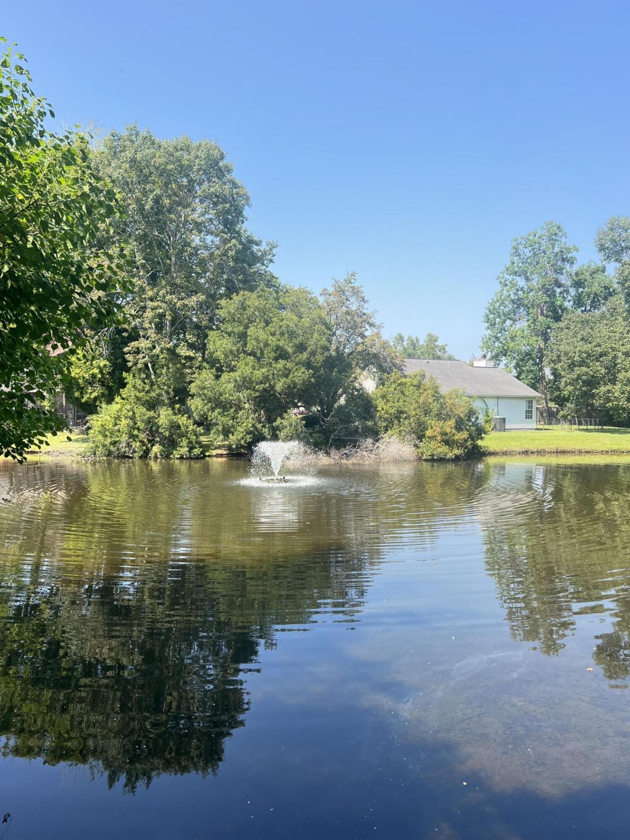 8589 Lake Marion Drive Photo 31