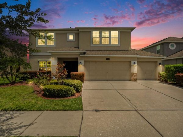 10737 BREAKING ROCKS DRIVE, TAMPA, FL 33647