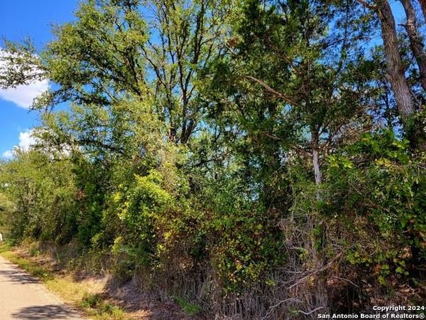 TBD Dale RD, Dale, TX 78616