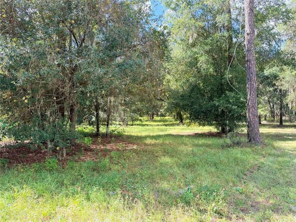 BONSMARA DRIVE, GROVELAND, FL 34736