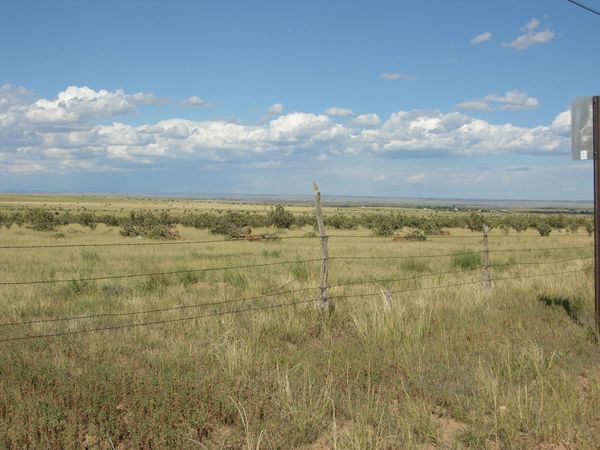 323 Thompson Road, Edgewood, NM 87015