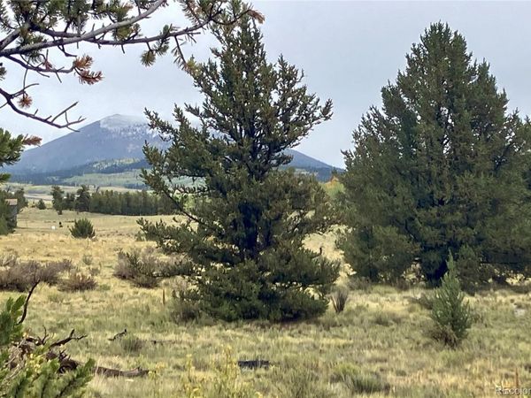 1344 Silverheels Road, Fairplay, CO 80440