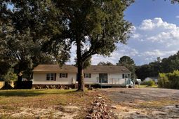 426 Treeline Drive photo 4