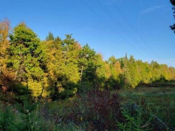 M14L17 Pattagumpus Road, Medway, ME 04460