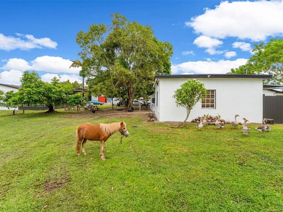 Property Image 51