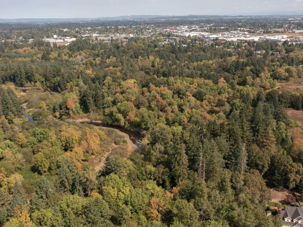 PP2020-49 Lot#2 N. of Osprey Ct. Rd, Albany, OR 97321