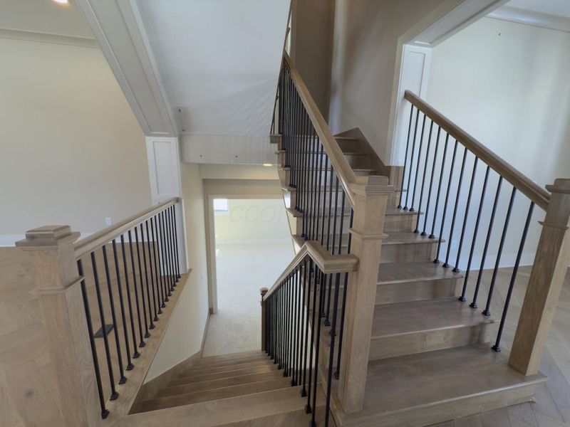 7029 Snowdrop Court, Dublin, OH 43016 Photo 13