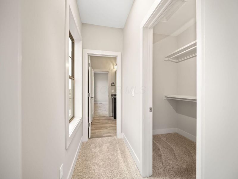 7029 Snowdrop Court, Dublin, OH 43016 Photo 37