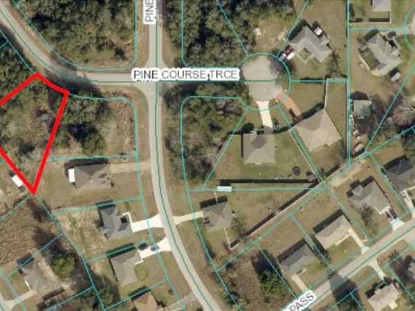 PINE COURSE TRACE, OCALA, FL 34472