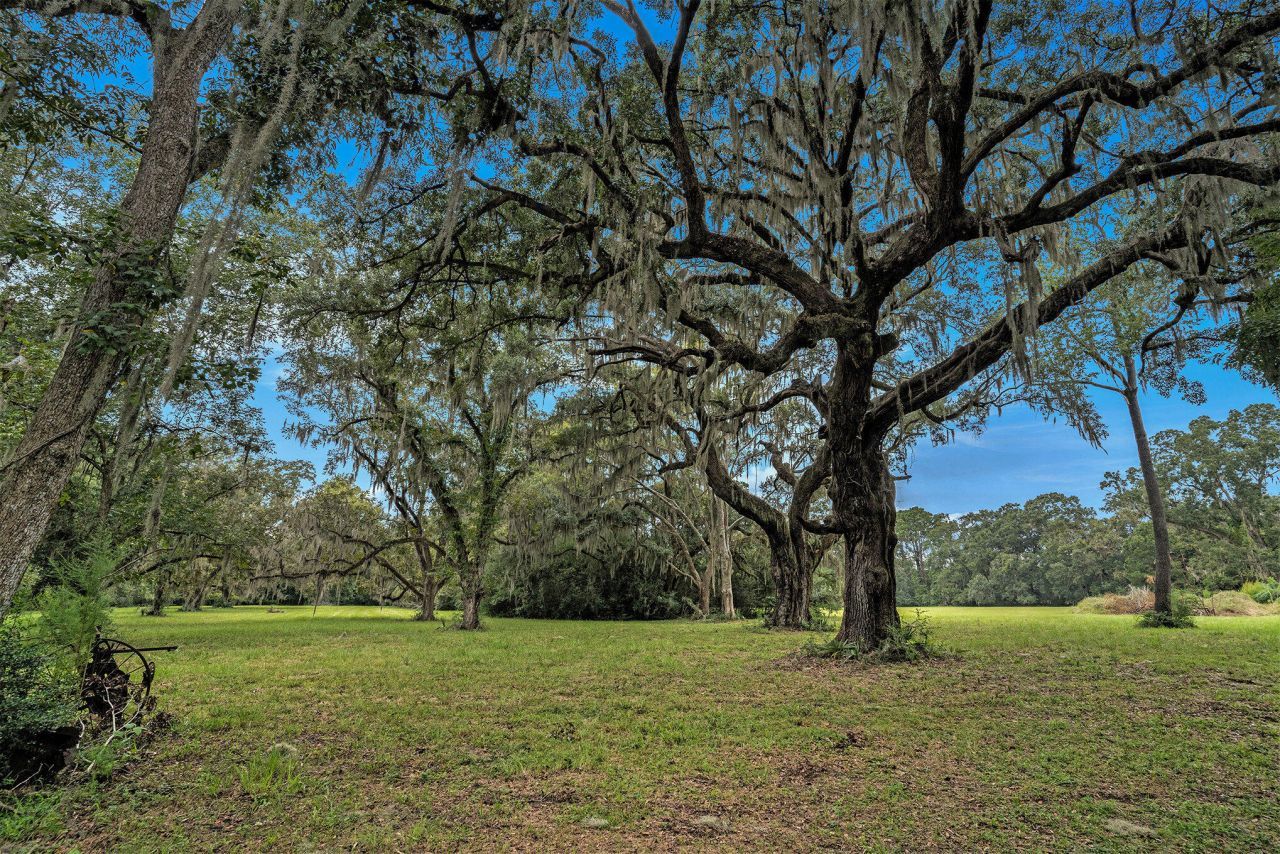 7817 Little Britton Road Photo 15