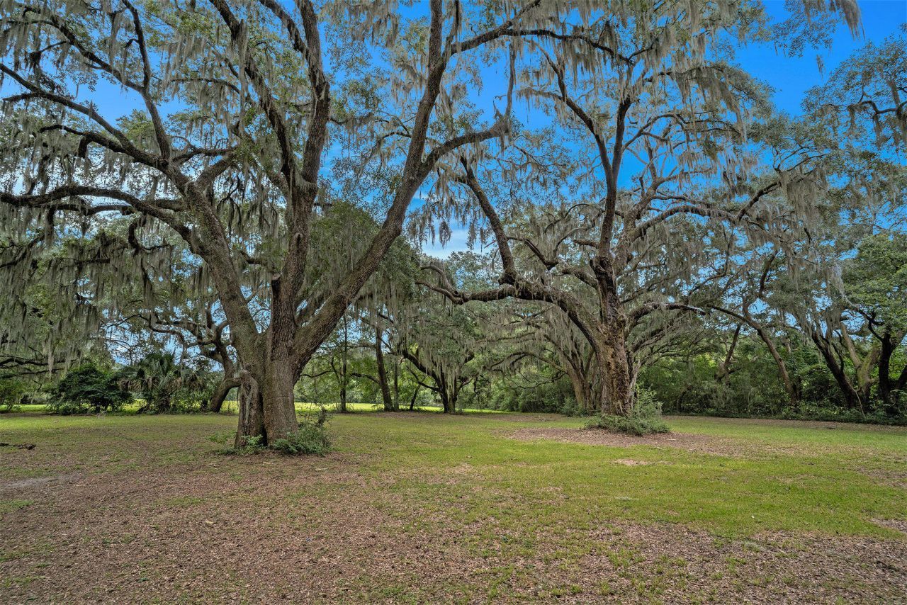 7817 Little Britton Road Photo 16