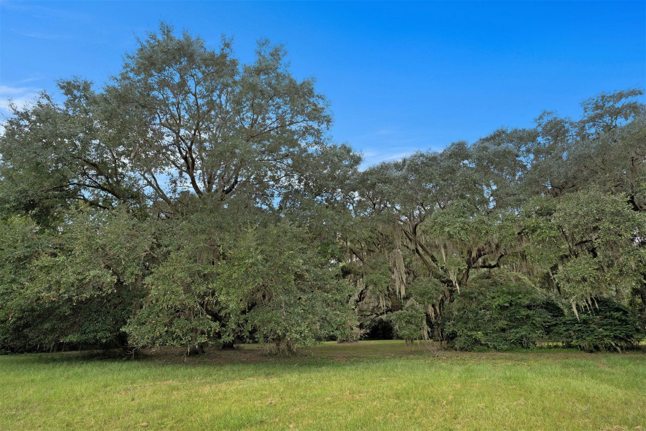 7817 Little Britton Road Photo 18