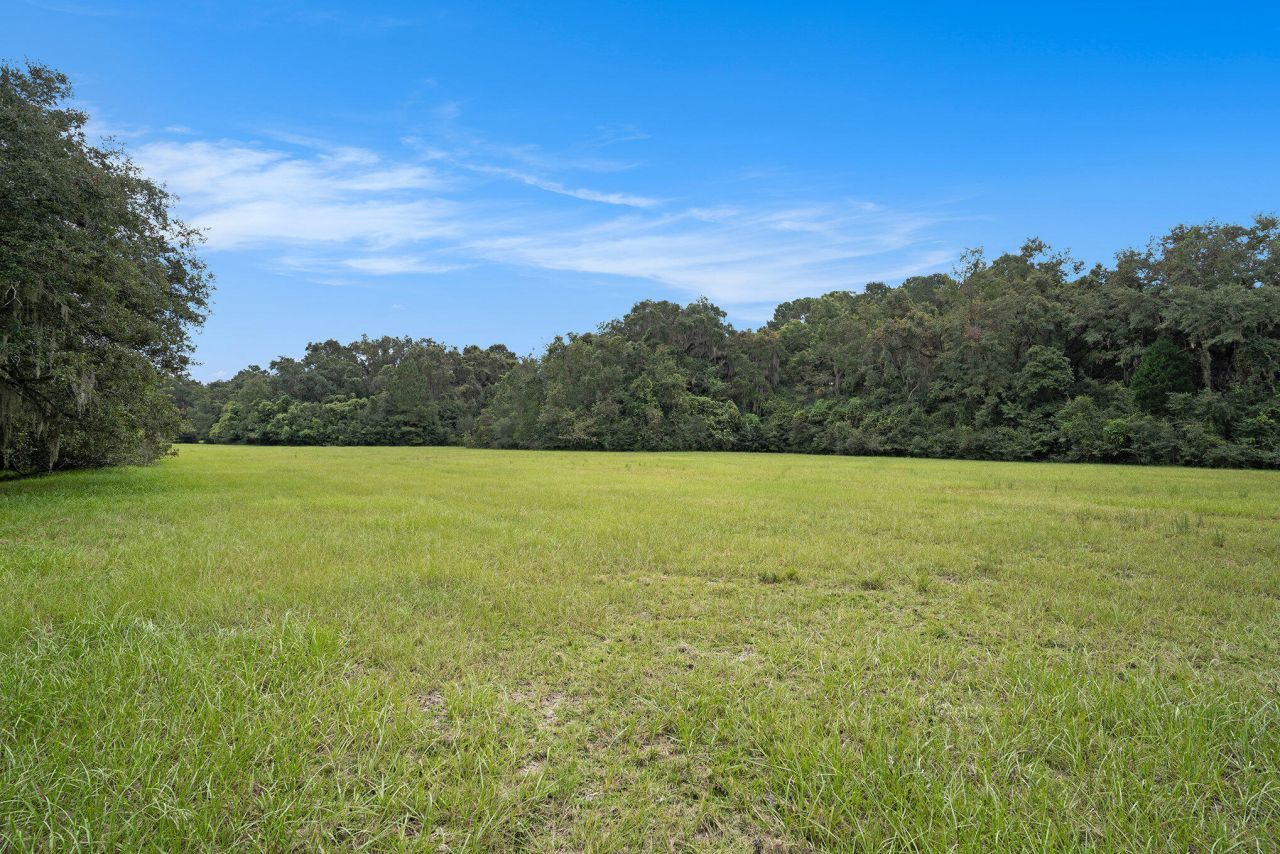 7817 Little Britton Road Photo 20