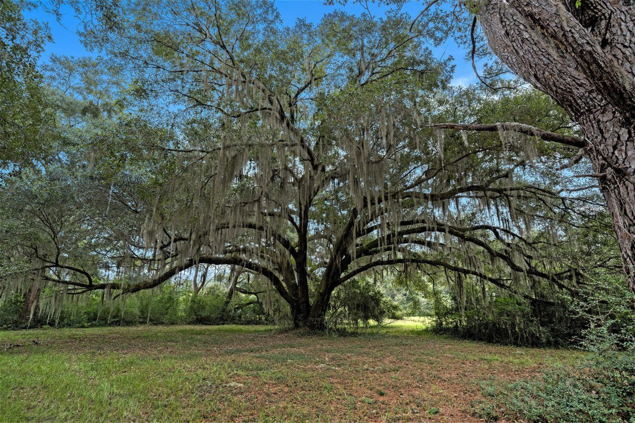 7817 Little Britton Road Photo 21