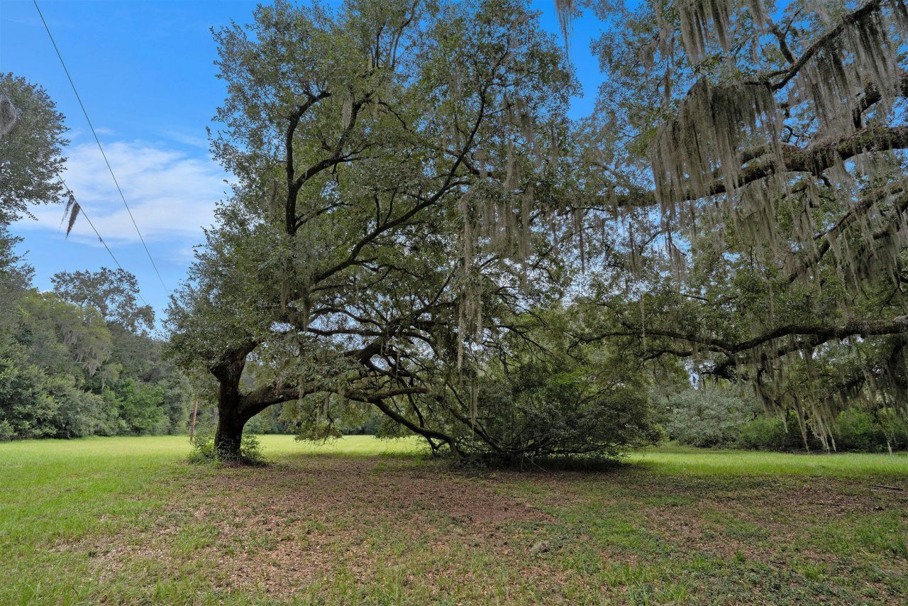 7817 Little Britton Road Photo 22